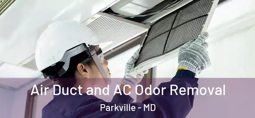  Air Duct and AC Odor Removal Parkville - MD