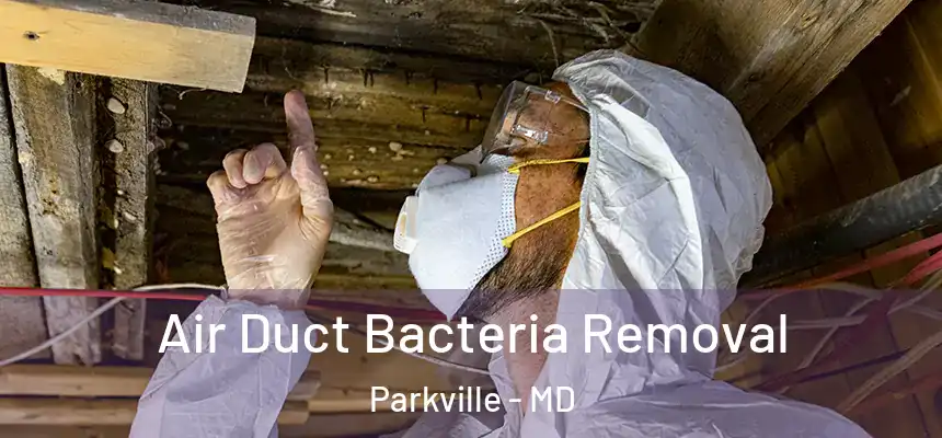  Air Duct Bacteria Removal Parkville - MD