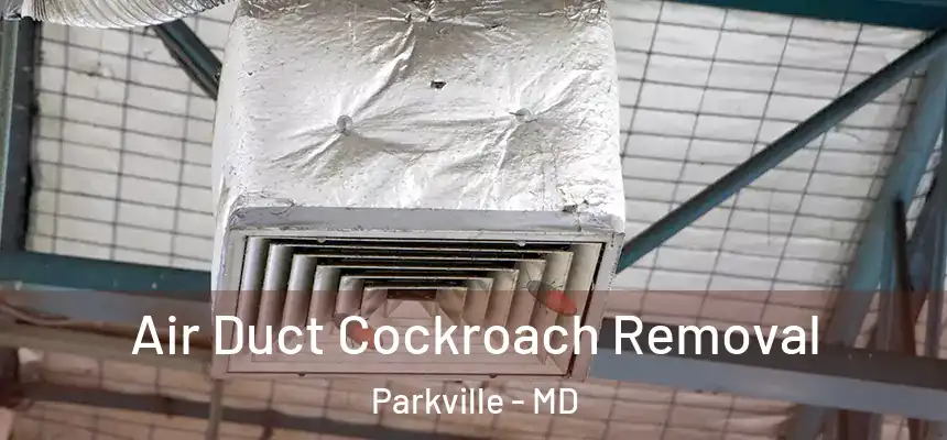 Air Duct Cockroach Removal Parkville - MD