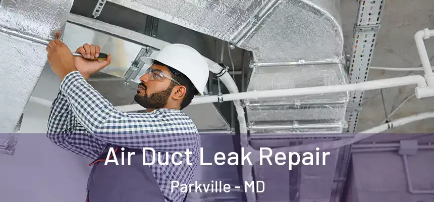  Air Duct Leak Repair Parkville - MD