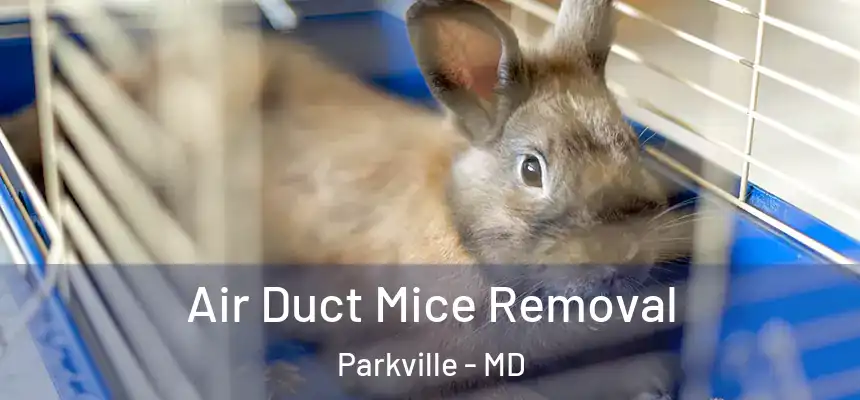 Air Duct Mice Removal Parkville - MD