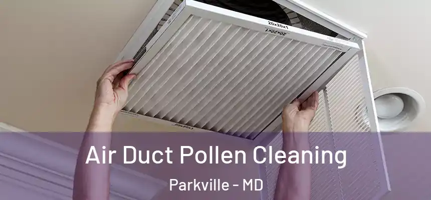 Air Duct Pollen Cleaning Parkville - MD