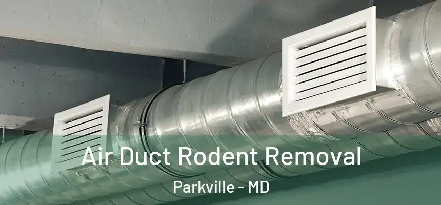  Air Duct Rodent Removal Parkville - MD