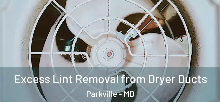 Excess Lint Removal from Dryer Ducts Parkville - MD
