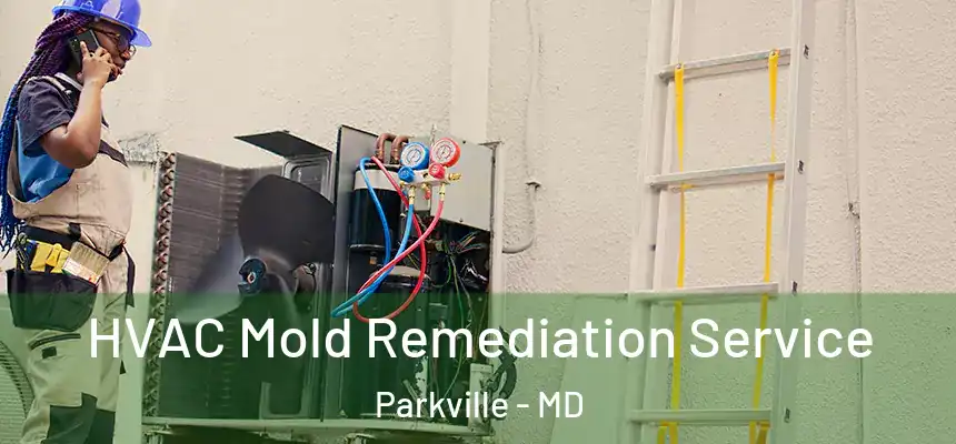 HVAC Mold Remediation Service Parkville - MD