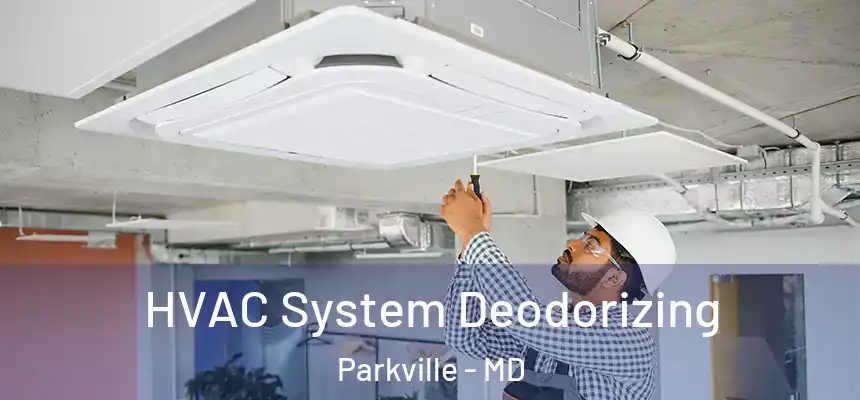HVAC System Deodorizing Parkville - MD