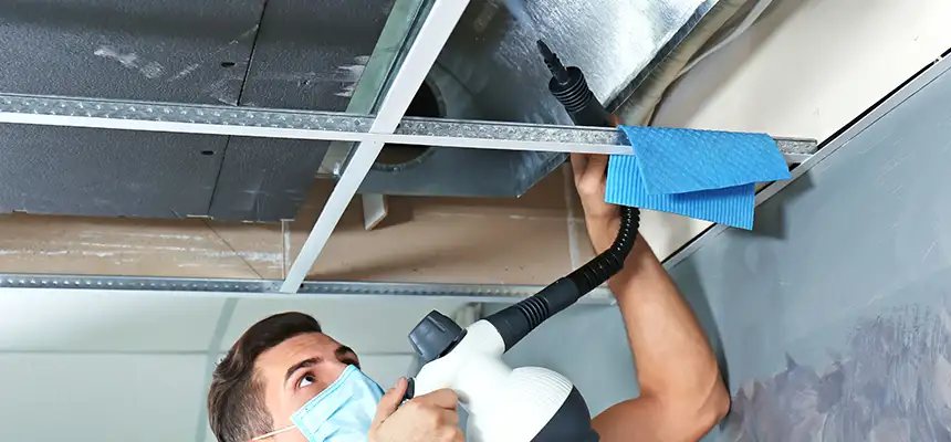 Our Air Duct Rodent Removal Services in Parkville, MD