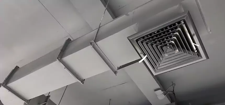 Our Pest Removal From Ducts Services in Parkville, MD