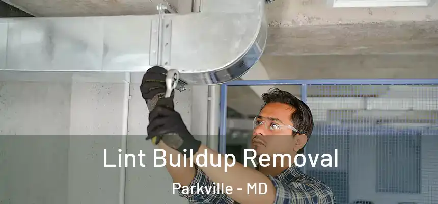 Lint Buildup Removal Parkville - MD