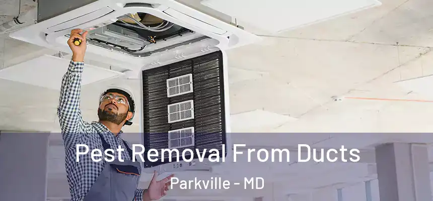 Pest Removal From Ducts Parkville - MD