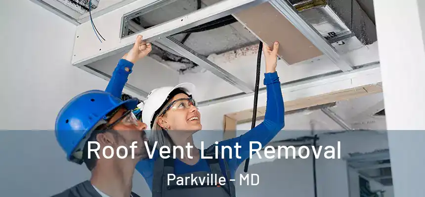Roof Vent Lint Removal Parkville - MD