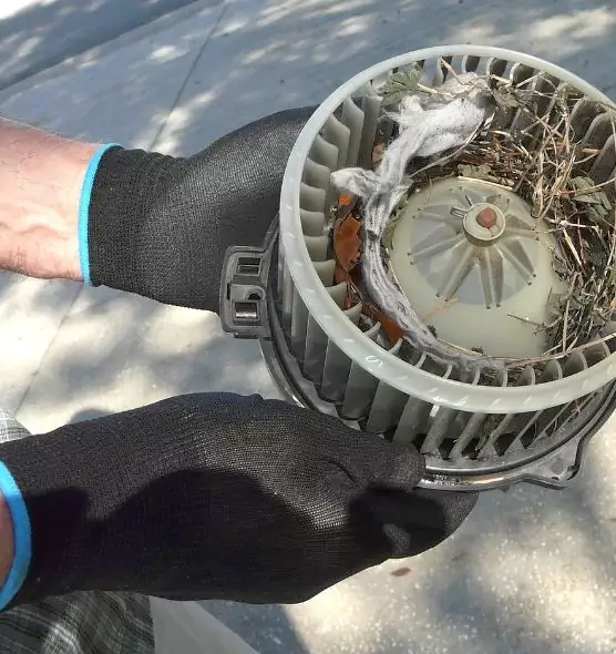 About Air Duct Mice Removal in Parkville, MD