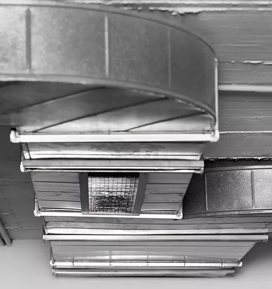 Professional Air Duct Pet Hair Removal in Parkville, MD