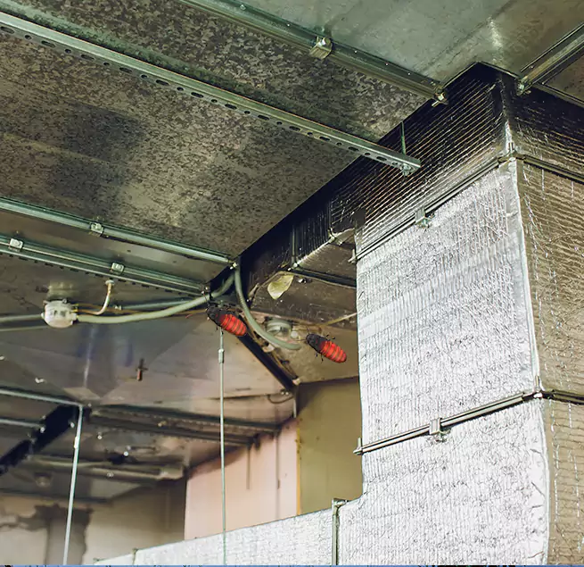 Why Homeowners & Businesses Trust Us in Parkville, MD?