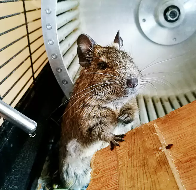 Why Homeowners & Businesses Trust Us Parkville, MD?